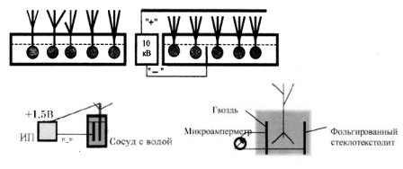 Jak rośliny reagują na elektryczność