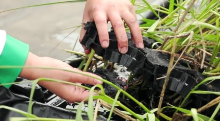 Nouvelle source d'électricité