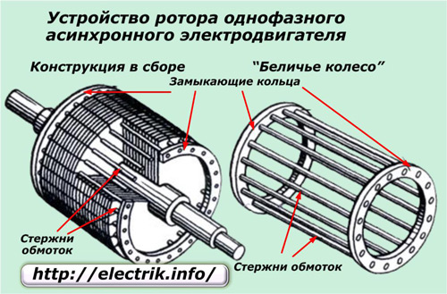 Le dispositif rotor d'un moteur à induction