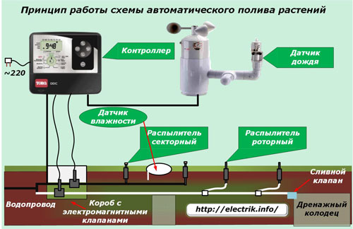 Princip automatického zavlažovacího systému rostlin