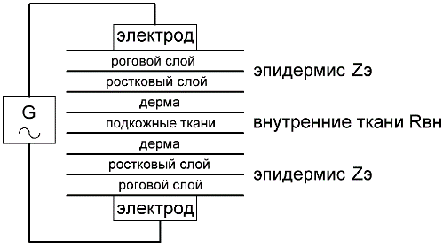 електрическо съпротивление на човешкото тяло