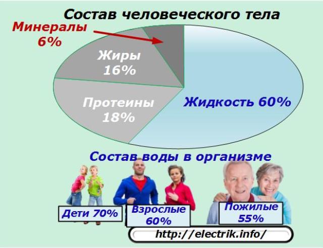 Състав на човешкото тяло