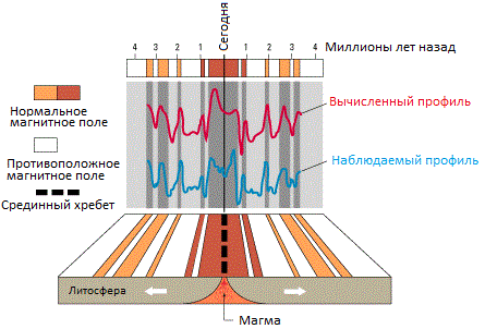 Компютърен модел