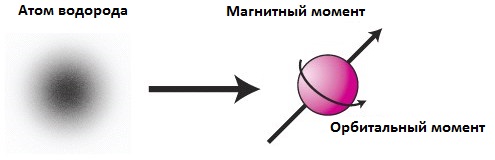 Zasada MRI