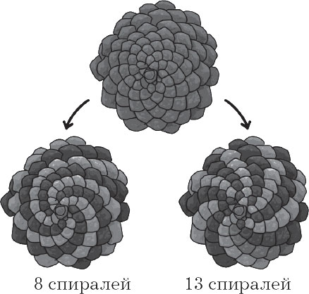 Sequência de Fibonacci